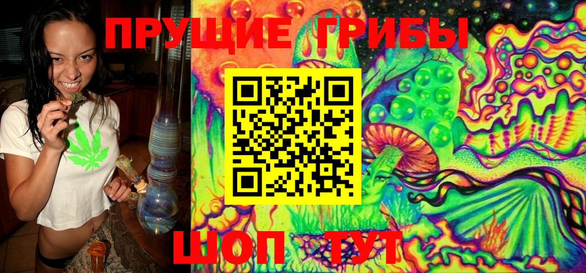 Галлюциногенные грибы Magic Shrooms Чебоксары