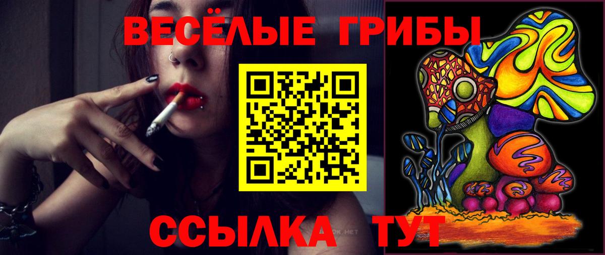 Чебоксары  Галлюциногенные грибы GOLDEN TEACHER  купить  сайты  Вход с VPN 